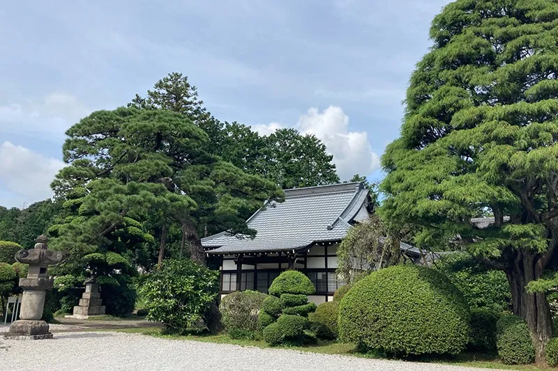 常円寺 (お寺の樹木管理)